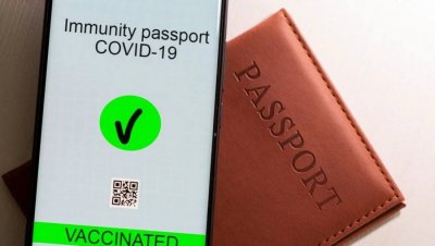 В каких странах требуют ковид-паспорта для нормальной жизни