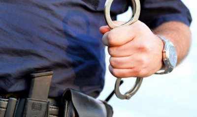 В Австрии гражданин РФ укусил полицейского при задержании