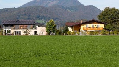 Кризис CoV привел к значительному росту цен на недвижимость в Австрии