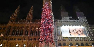 Германия и Австрия померялись высотой рождественских елок